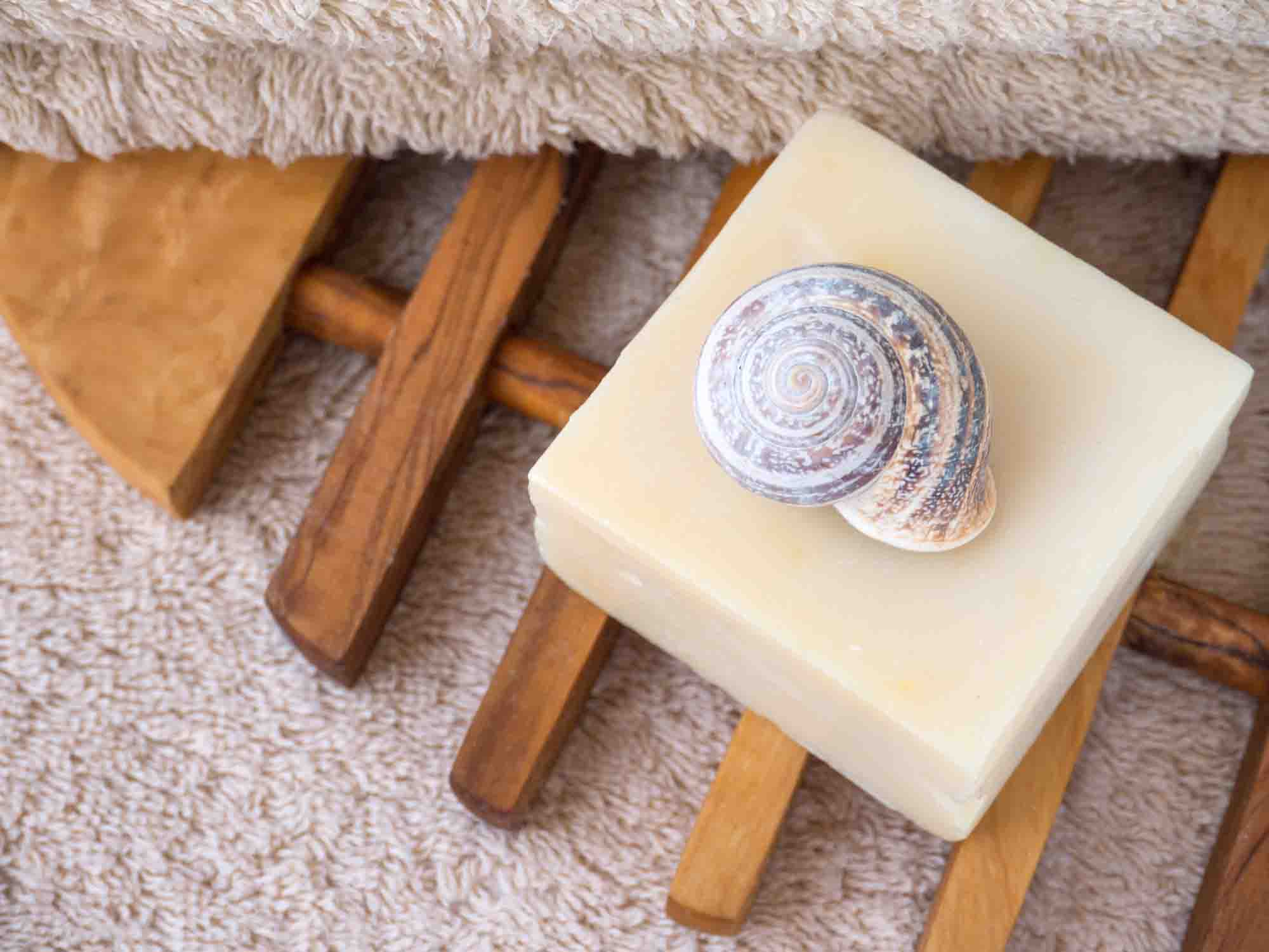 Natural soap bar, snail shell and terry towel